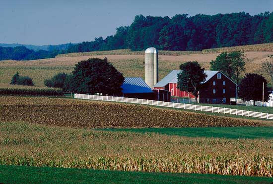 7 Financial Benefits of Rural Living