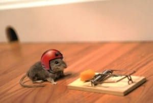 managing risk when trading