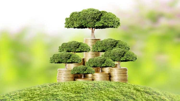 Unbelievable Secrets To Grow Your Wealth 4