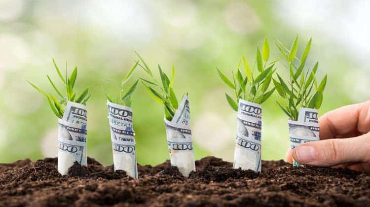investing for beginners