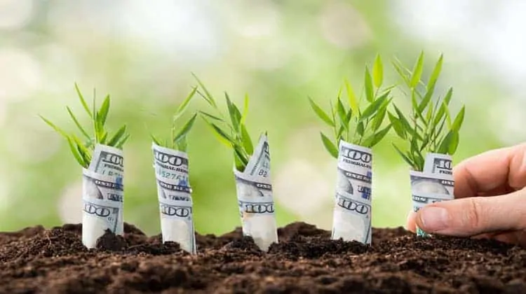 investing for beginners