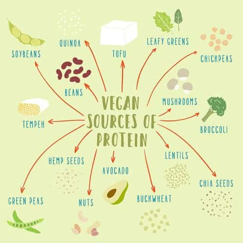 vegetarian sources of protein