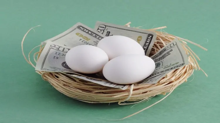 retirement nest egg