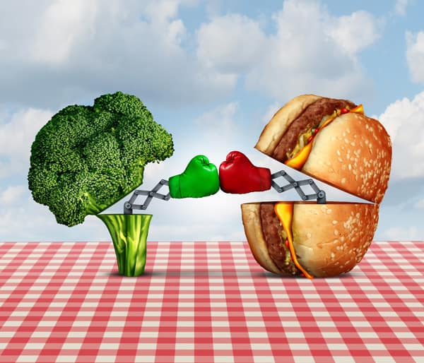 vegetarian tips for beginners