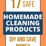 Homemade Cleaning Products
