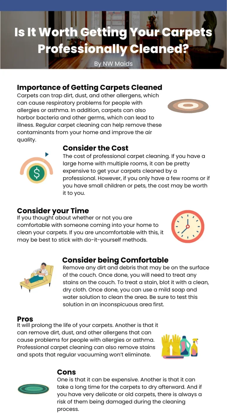 Investing in a Home Carpet Cleaner: A Long-Term Solution