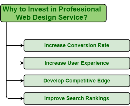 Invest in a Professionally Designed Website